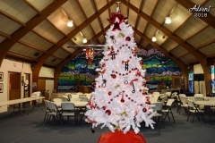 2018-12-09 WHUMC Advent Decor_0001-min