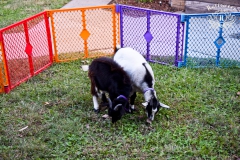 2019-10-31-WHUMC-Trick-Or-Treat_0002-min