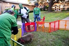 2019-10-31-WHUMC-Trick-Or-Treat_0004-min