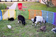 2019-10-31-WHUMC-Trick-Or-Treat_0005-min