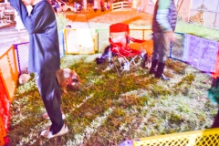 2019-10-31-WHUMC-Trick-Or-Treat_0095-min